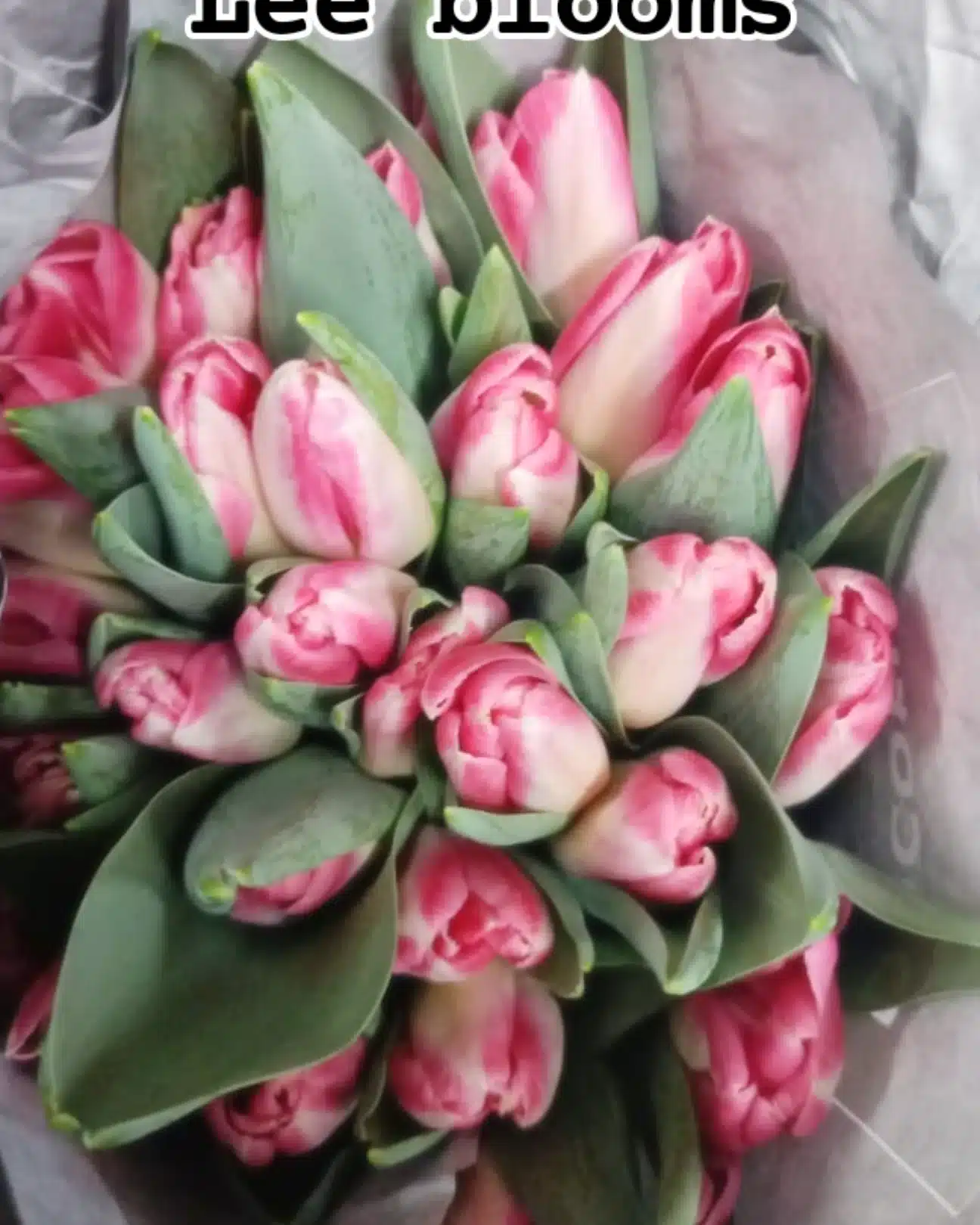 Blooms by Lee 1 blooms by lee