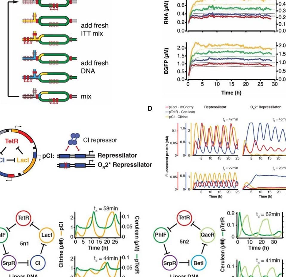 sna global resources tayar second